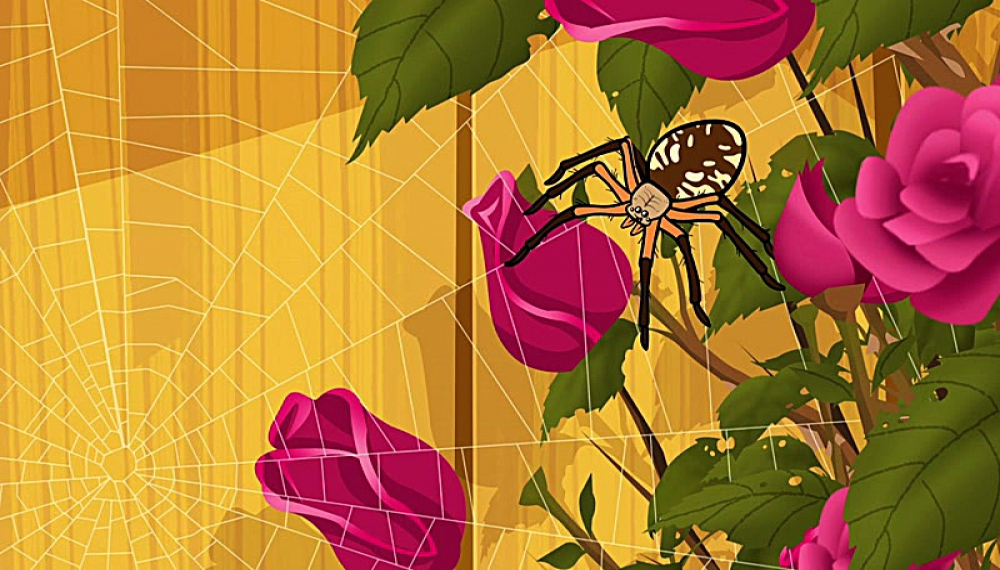 گربه طبیعت - فصل 1 قسمت 74