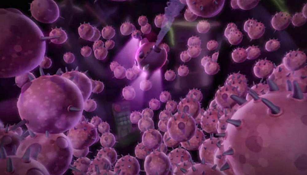 گونه های در معرض خطر- فصل 1 قسمت 18