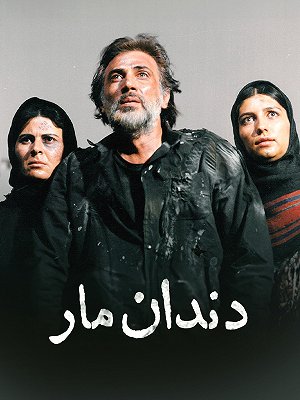 دندان مار