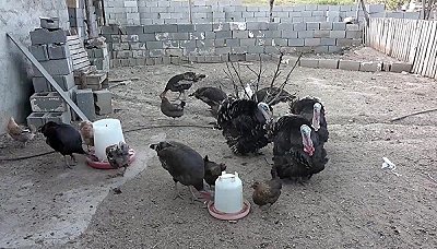 داکیوگپ - فصل 2 قسمت 3: سرباز شماره صفر