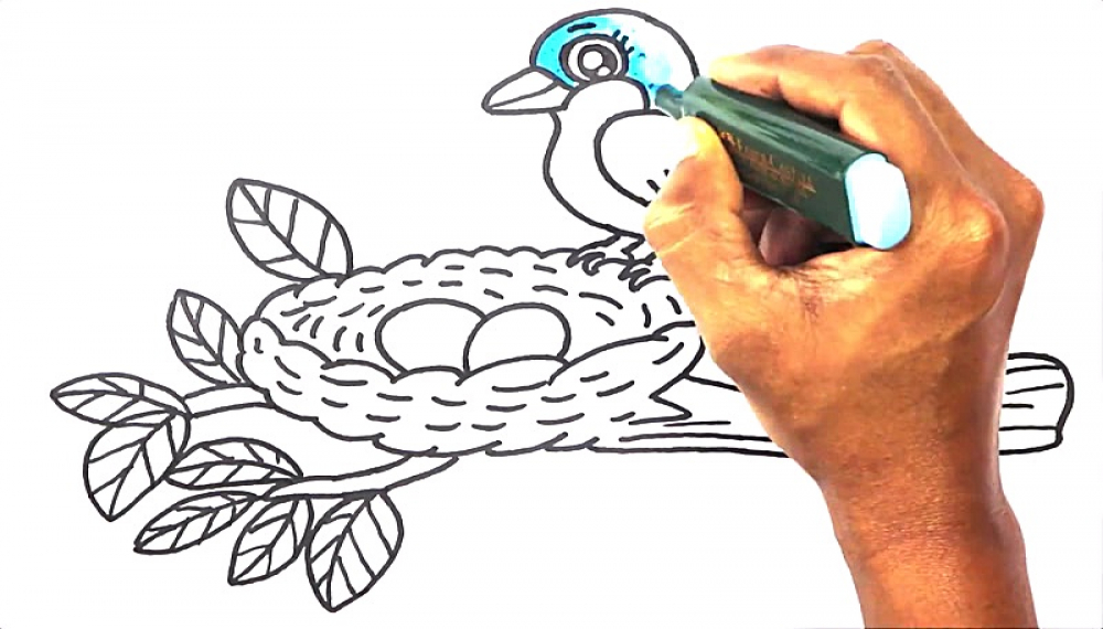 آسان نقاشی کنید - فصل 1 قسمت 354