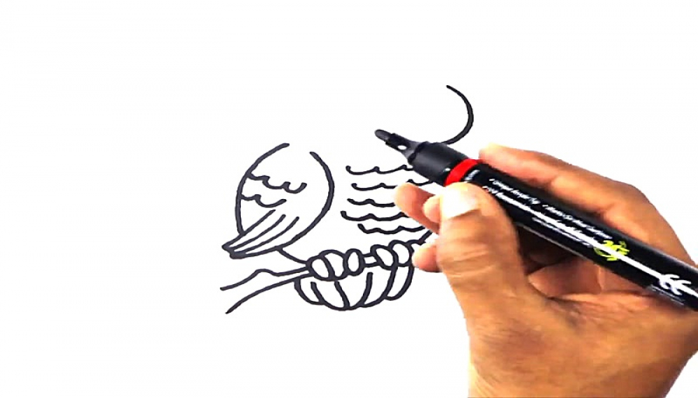 آسان نقاشی کنید - فصل 1 قسمت 568