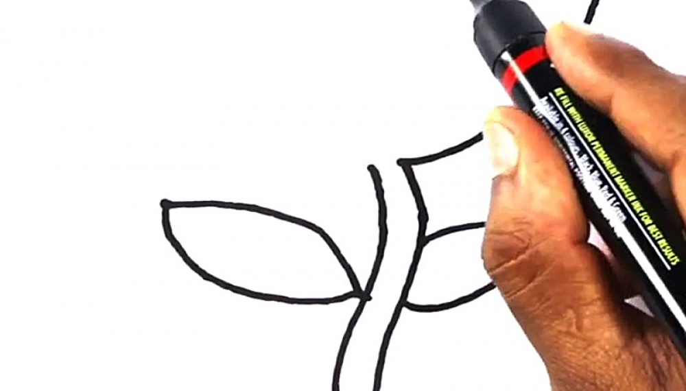 آسان نقاشی کنید - فصل 1 قسمت 820