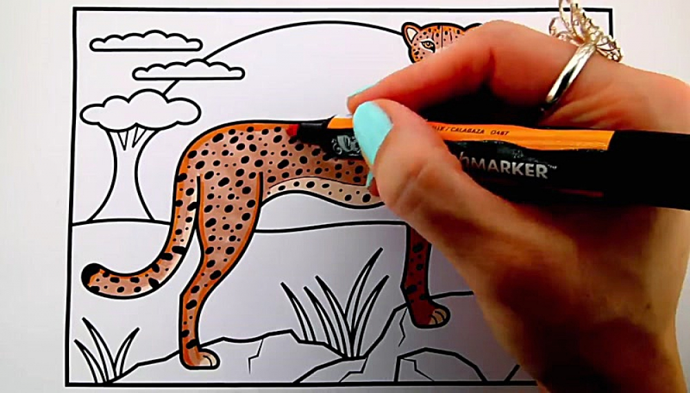 خلاقیت های رنگی کودکانه - فصل 1 قسمت 157