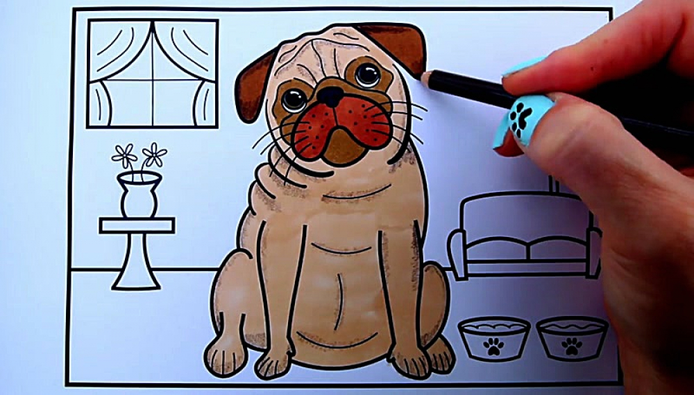 خلاقیت های رنگی کودکانه - فصل 1 قسمت 287