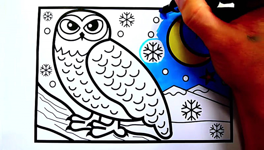 خلاقیت های رنگی کودکانه - فصل 1 قسمت 309