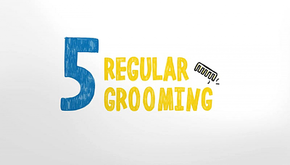 گربه سایمون - فصل 1 قسمت 1