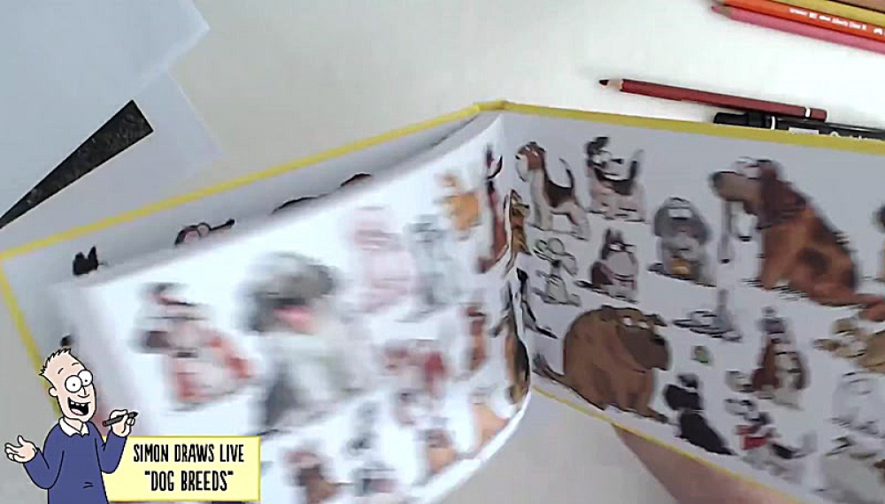 گربه سایمون - فصل 1 قسمت 49