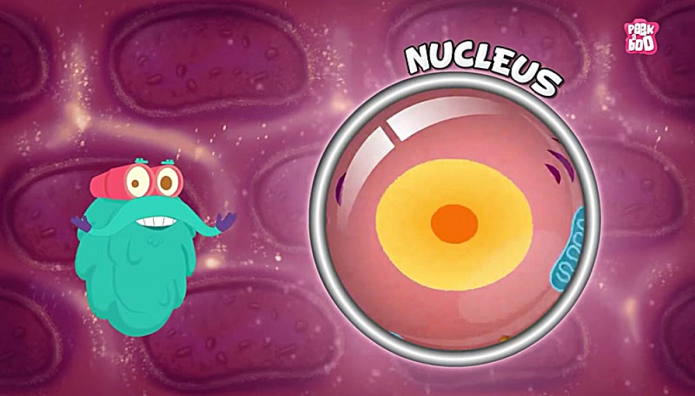 دالی موشه - فصل 1 قسمت 16