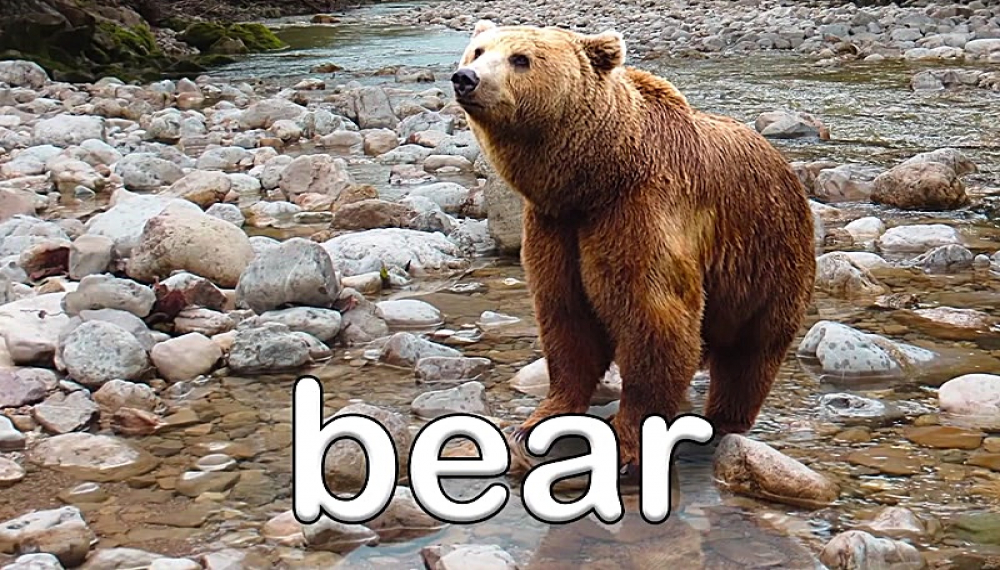 شعرهای شاد حیوانات - فصل 1 قسمت 18