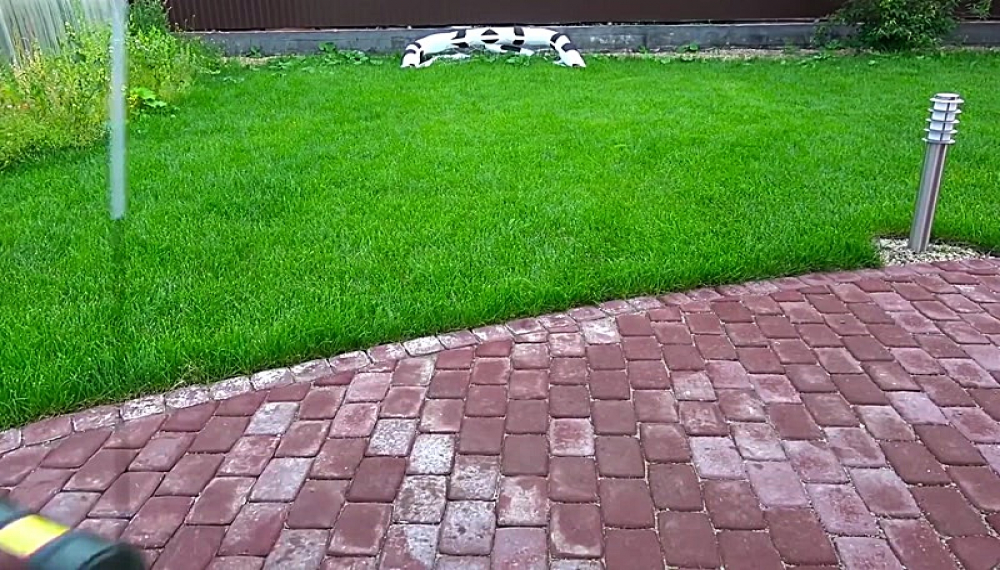 سنیا فوق العاده - فصل 1 قسمت 41