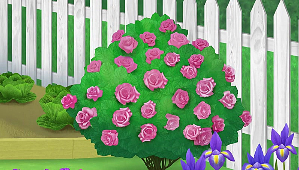 پینکالیشز و پیتر - فصل 1 قسمت 23