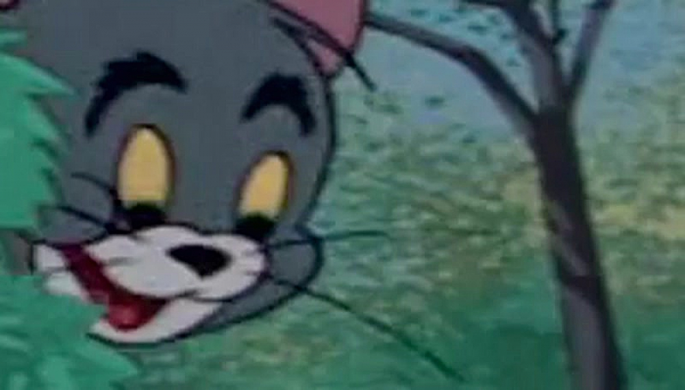 ماجراهای تام و جری - قسمت 10