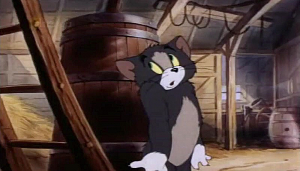 ماجراهای تام و جری - قسمت 11