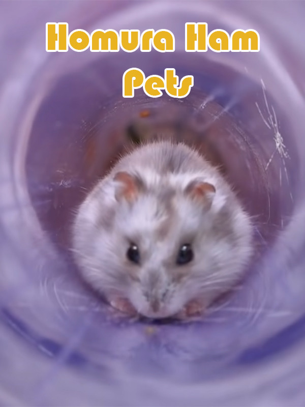 حیوانات خانگی همورا هم - فصل ۱ قسمت ۲