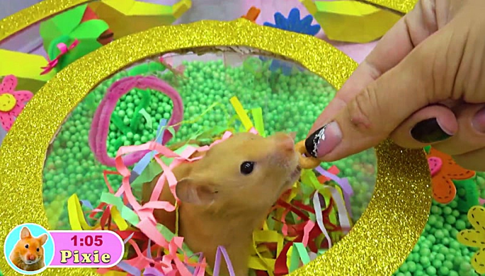 حیوانات خانگی همورا هم - فصل 1 قسمت 3