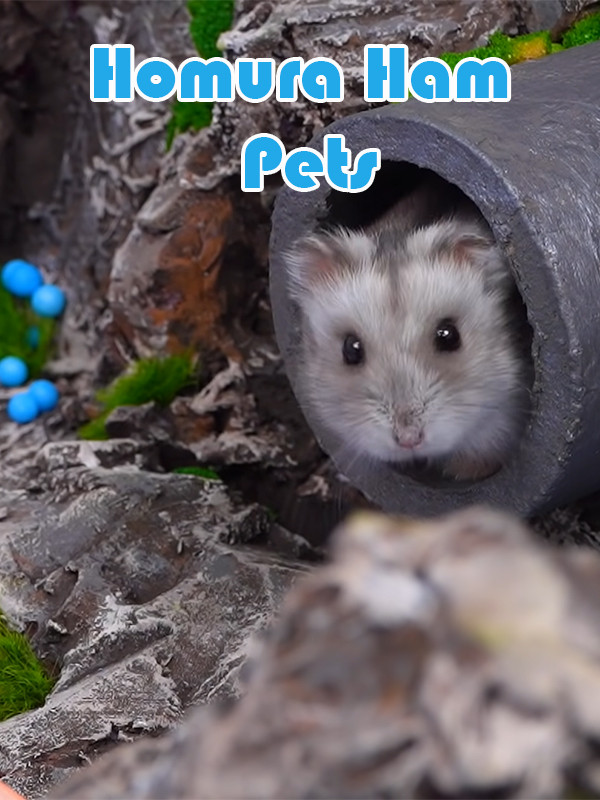 حیوانات خانگی همورا هم - فصل ۱ قسمت ۳