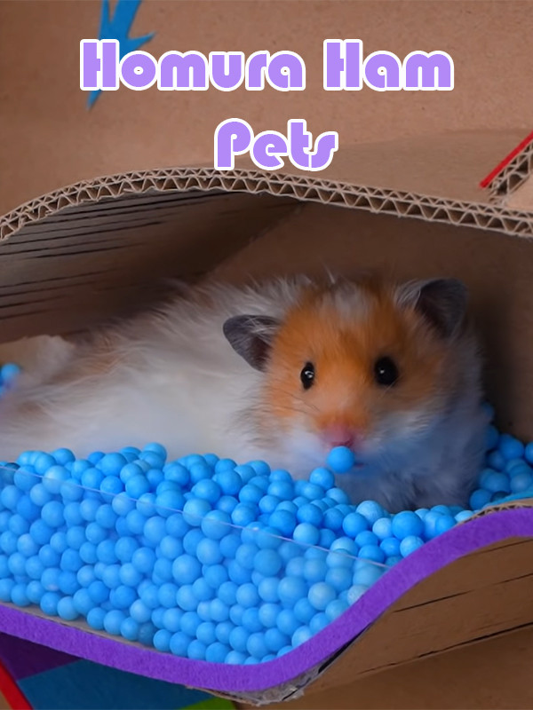 حیوانات خانگی همورا هم - فصل ۱ قسمت ۵