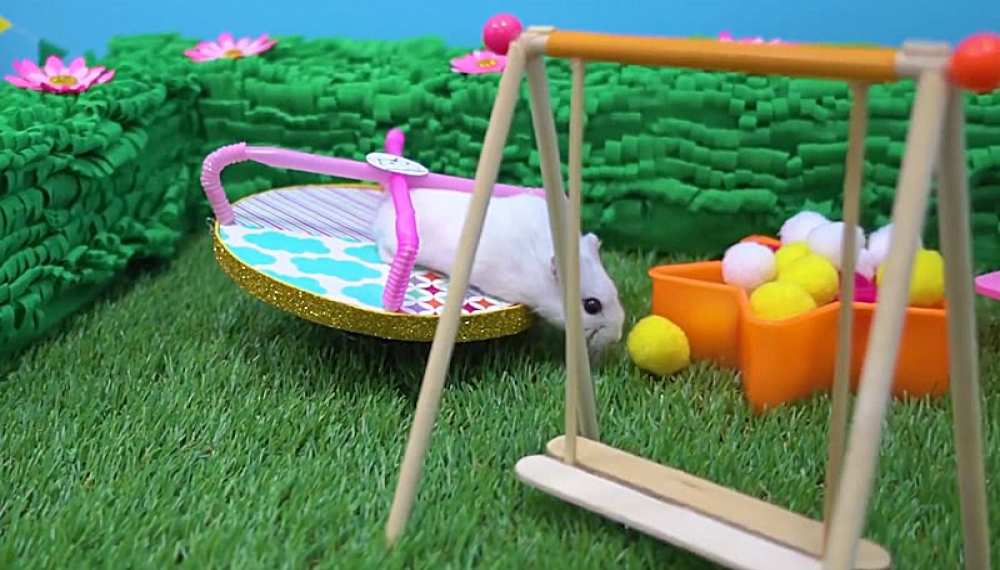 حیوانات خانگی همورا هم - فصل 1 قسمت 6