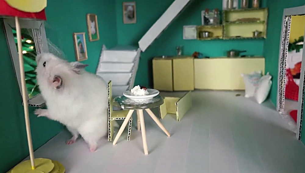 حیوانات خانگی همورا هم - فصل 1 قسمت 9