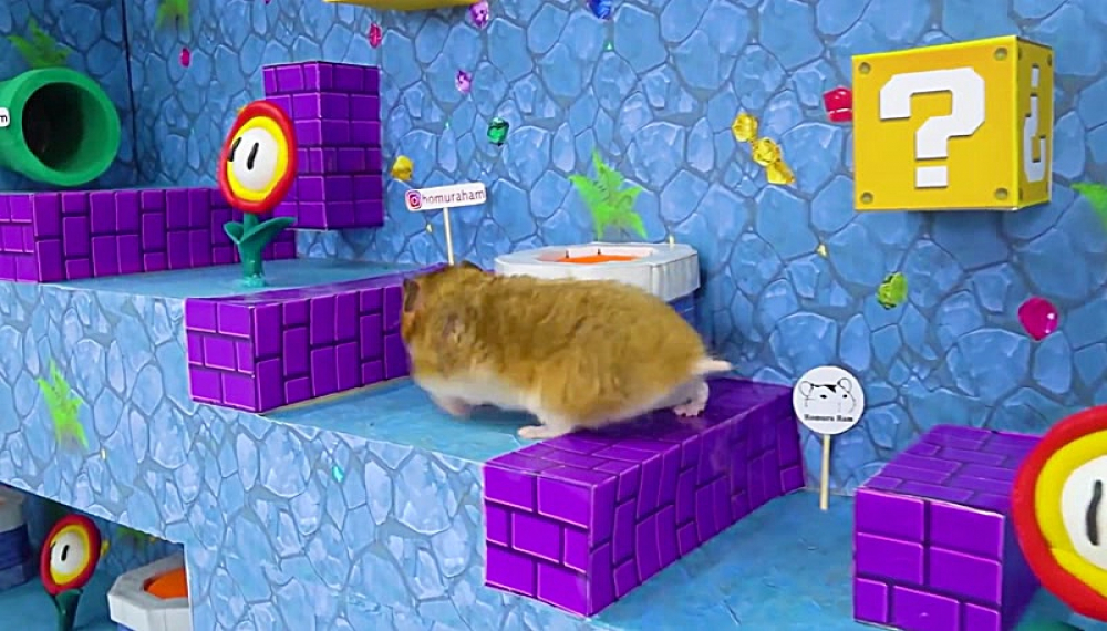 حیوانات خانگی همورا هم - فصل 1 قسمت 11