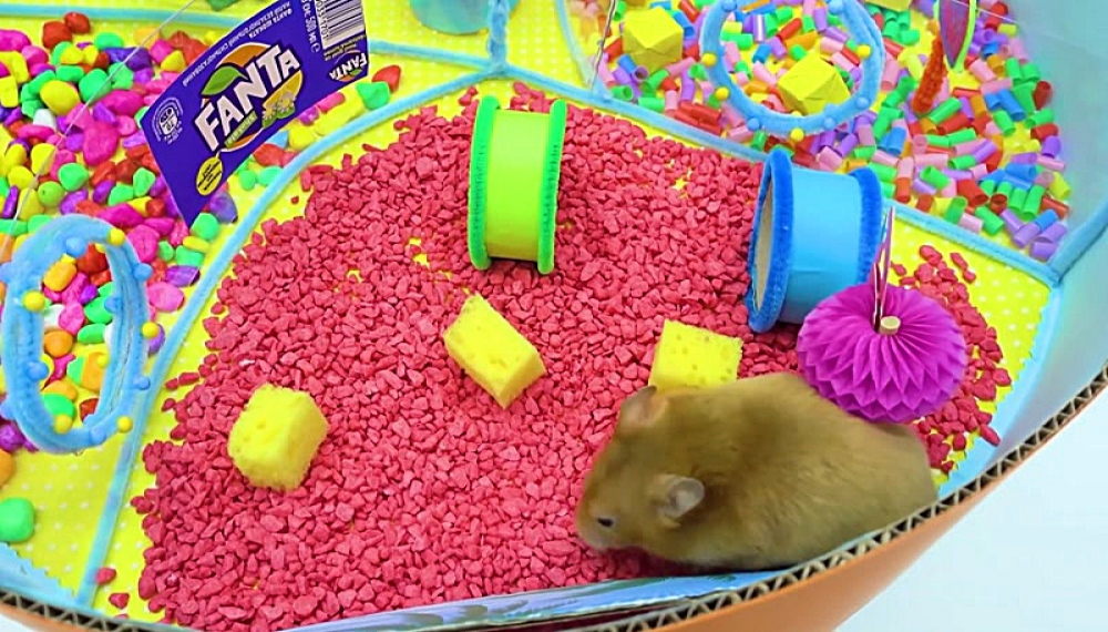 حیوانات خانگی همورا هم - فصل 1 قسمت 12