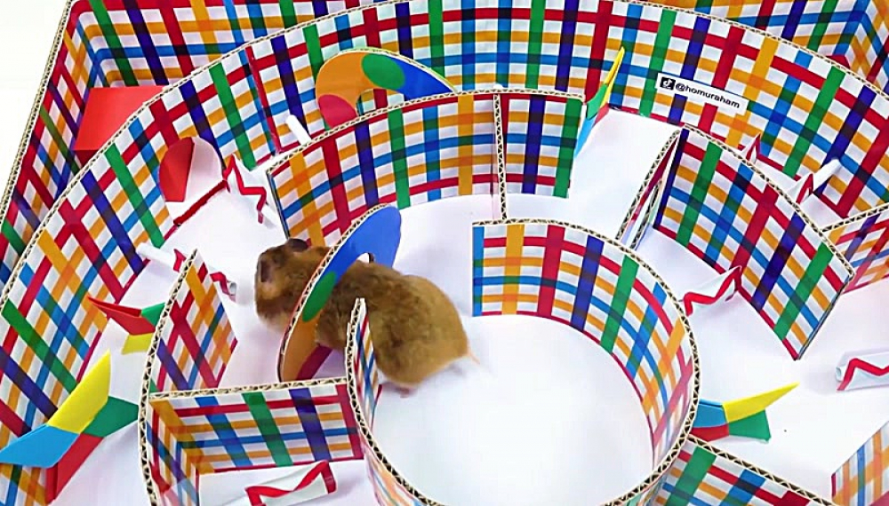 حیوانات خانگی همورا هم - فصل 1 قسمت 20