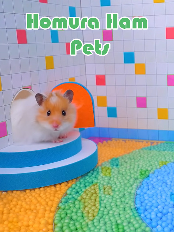 حیوانات خانگی همورا هم - فصل ۱ قسمت ۲۲