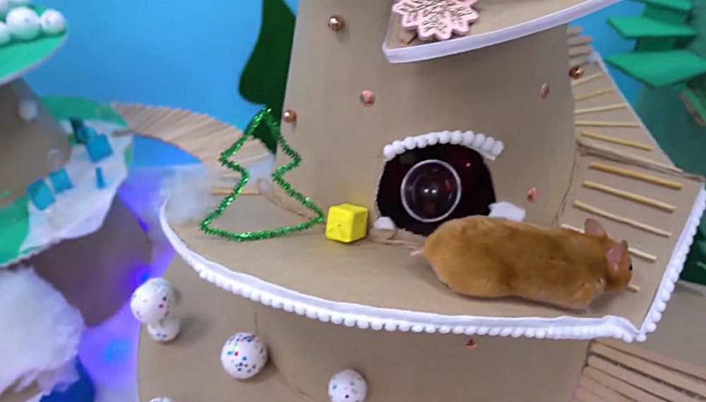 حیوانات خانگی همورا هم - فصل 1 قسمت 23