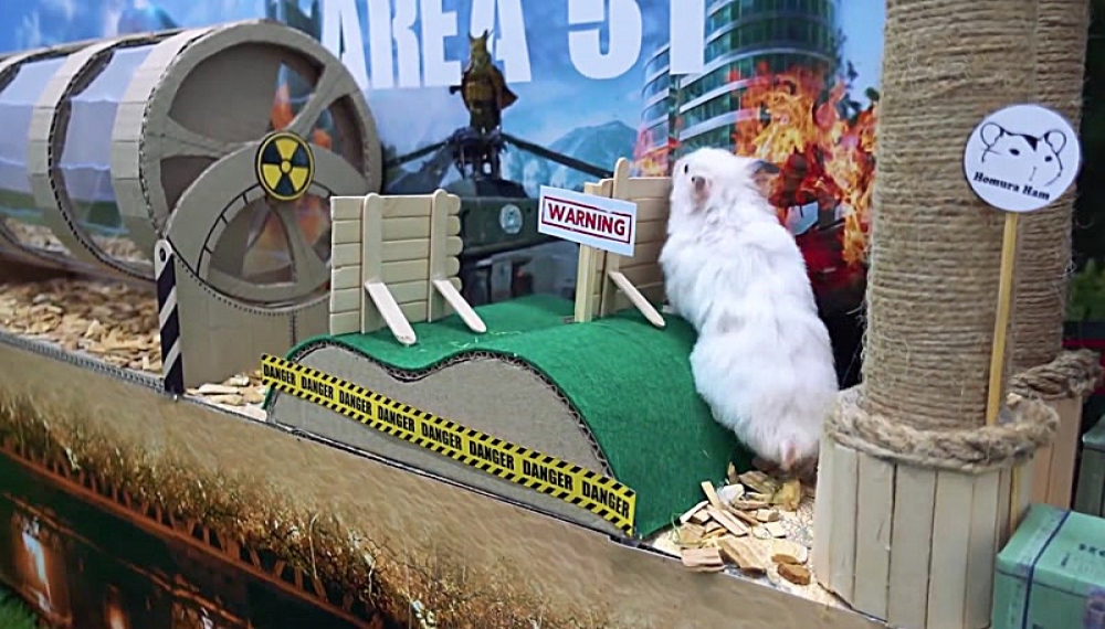 حیوانات خانگی همورا هم - فصل 1 قسمت 31