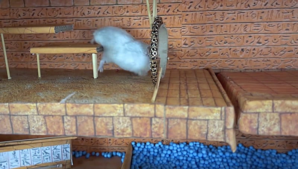 حیوانات خانگی همورا هم - فصل 1 قسمت 33