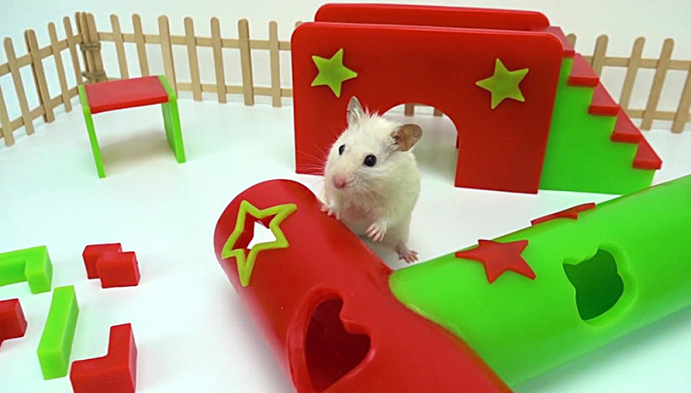 حیوانات خانگی همورا هم - فصل 1 قسمت 46