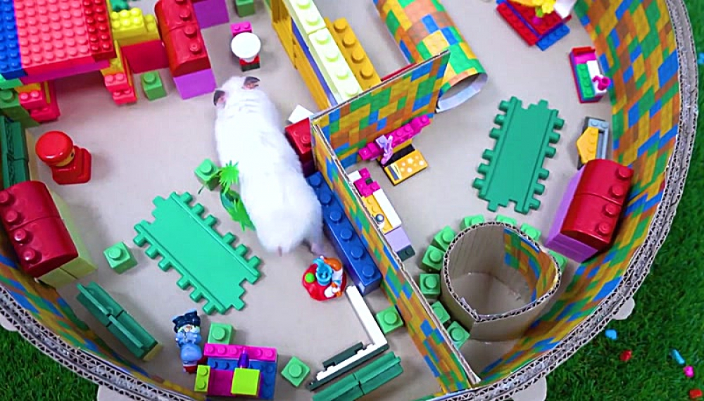 حیوانات خانگی همورا هم - فصل 1 قسمت 50