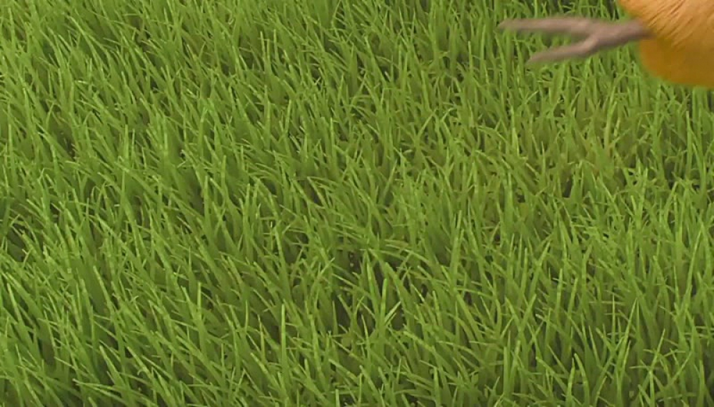 کیوی و استریت - فصل 1 قسمت 27