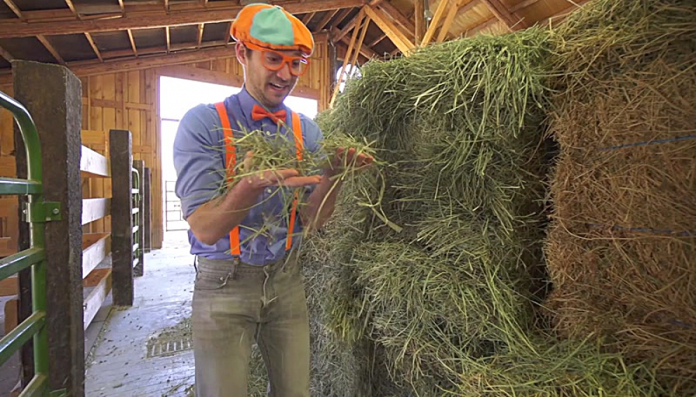 بلیپی اومده - فصل 1 قسمت 8