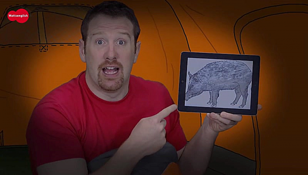 استیو و مگی - فصل 1 قسمت 26