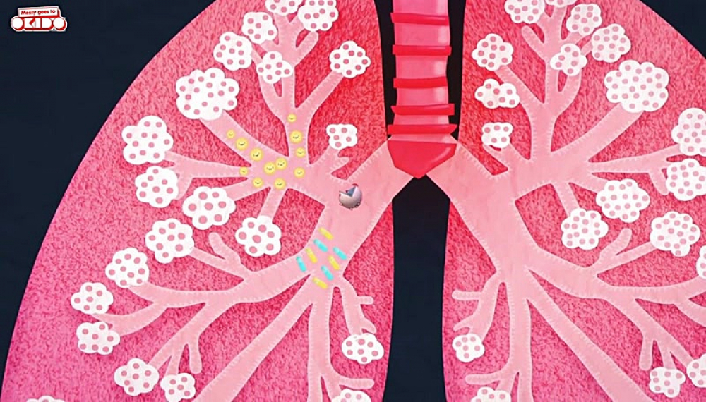 مسی به اکیدو می رود - فصل 2 قسمت 24