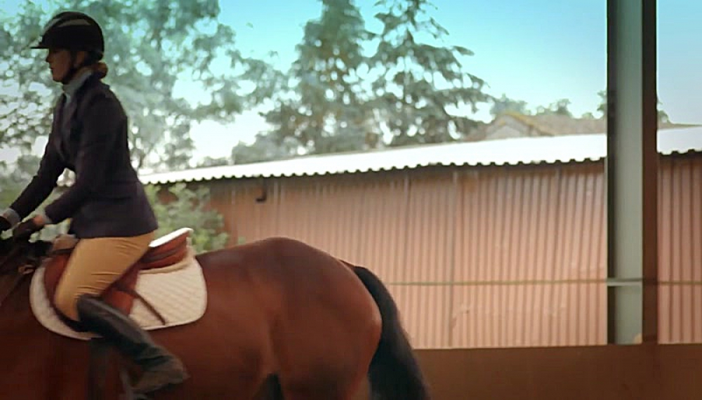 خانواده مرغک - فصل 1 قسمت 14