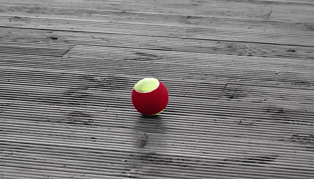 خانواده مرغک - فصل 1 قسمت 39