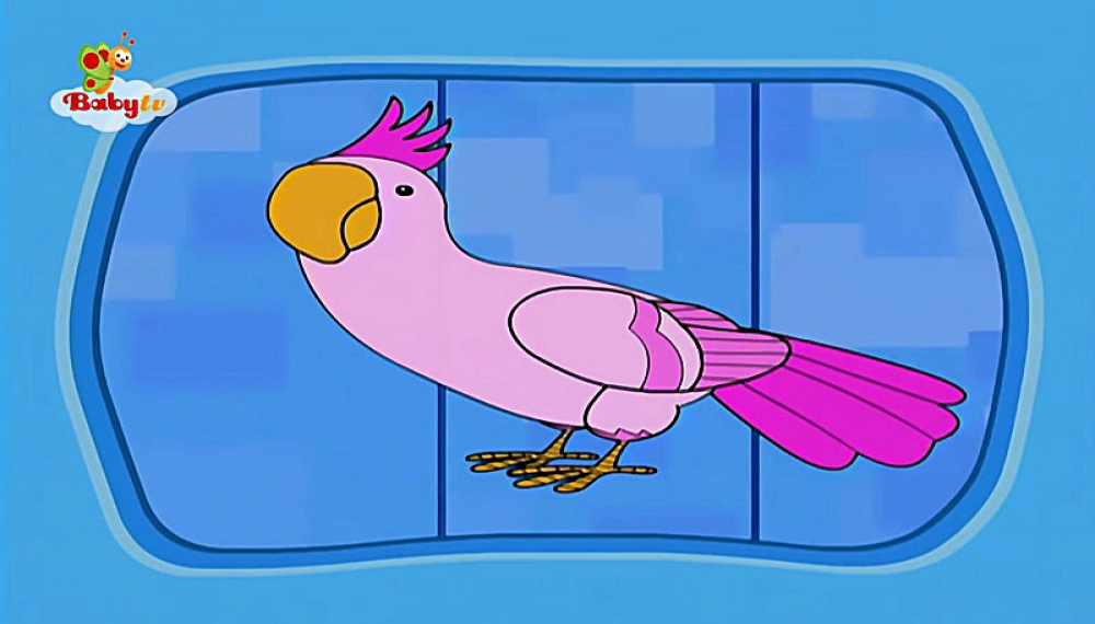 گزیده بیبی تی وی - فصل 1 قسمت 2