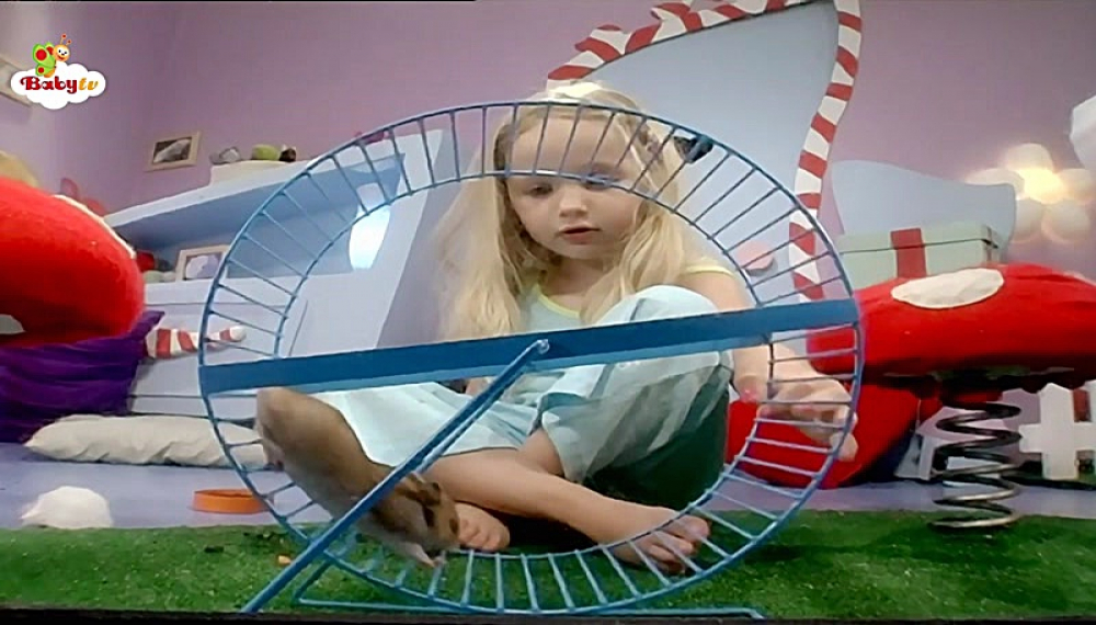 گزیده بیبی تی وی - فصل 1 قسمت 14