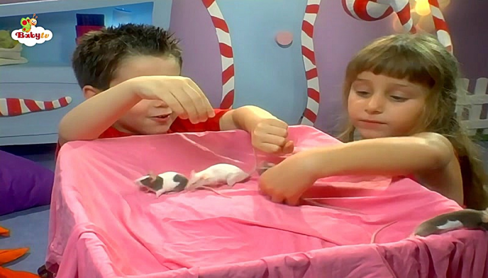 گزیده بیبی تی وی - فصل 1 قسمت 16