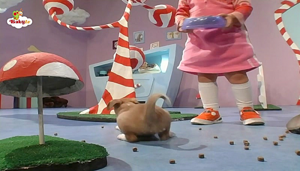 گزیده بیبی تی وی - فصل 1 قسمت 21