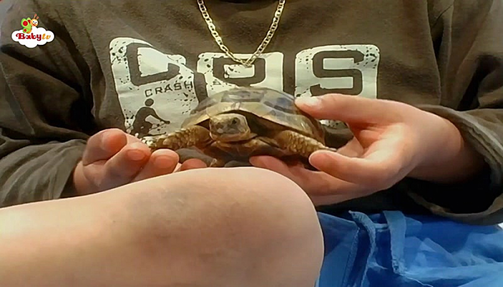 گزیده بیبی تی وی - فصل 1 قسمت 25