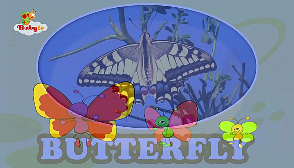 گزیده بیبی تی وی - فصل 1 قسمت 28