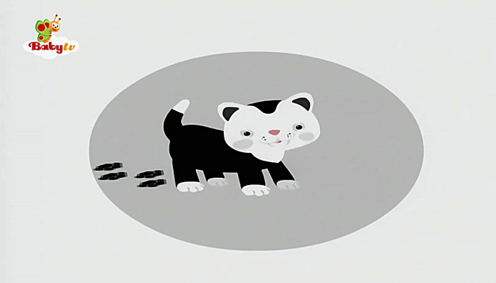 گزیده بیبی تی وی - فصل 1 قسمت 29