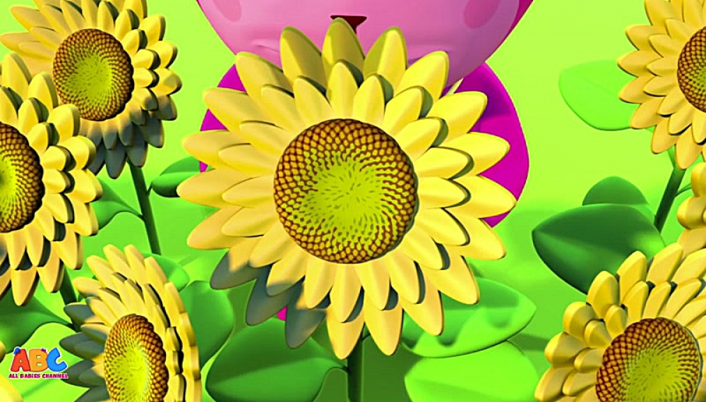 گزیده ترانه های جدید الفبا - فصل 1 قسمت 10