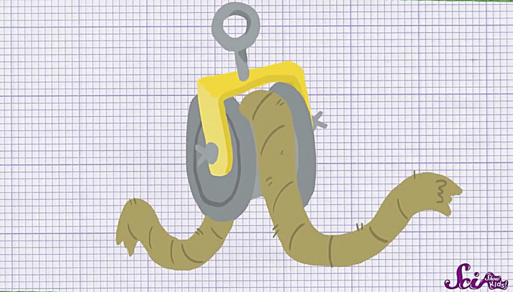 برنامه علمی کودکان - فصل 1 قسمت 3