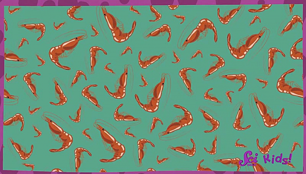 برنامه علمی کودکان - فصل 1 قسمت 6