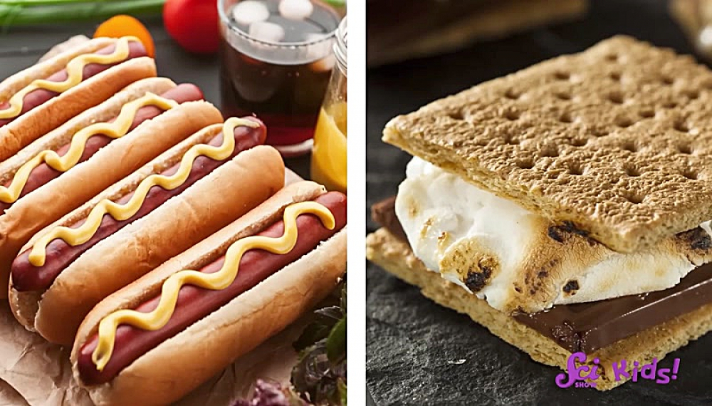 برنامه علمی کودکان - فصل 1 قسمت 7